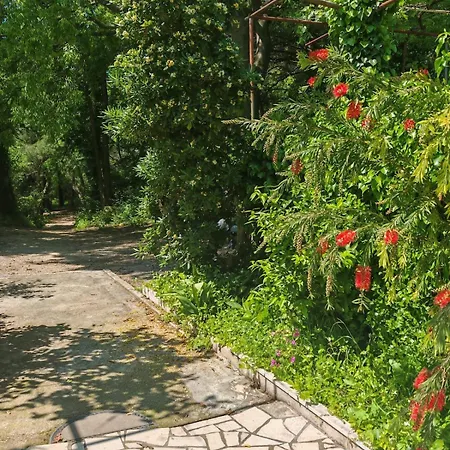 Apartamento Luxury Villa For Holidays